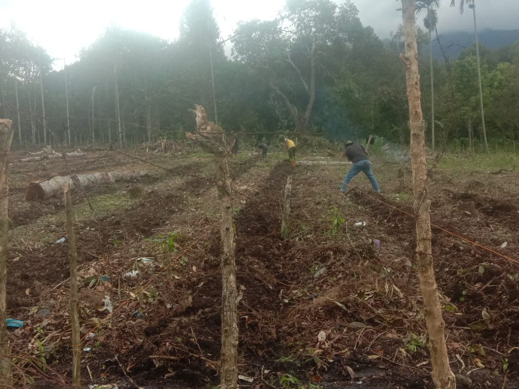 Lahan Ketahan Pangan Kampung Pante Karya